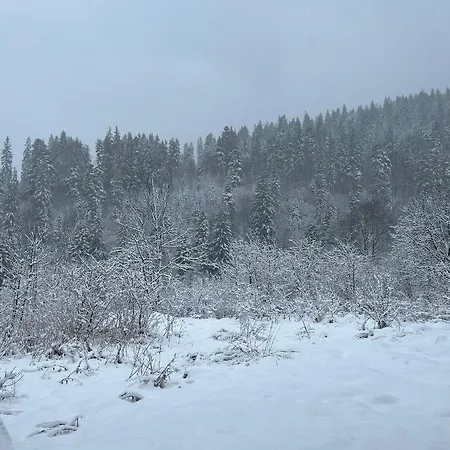 Гостинний Двір Стефані 3*