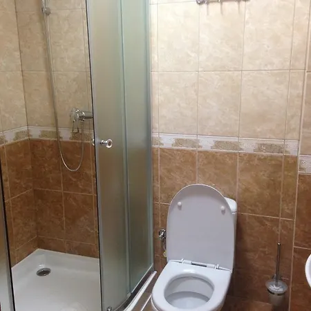 Гостинний Двір Стефані 3* Tatariv