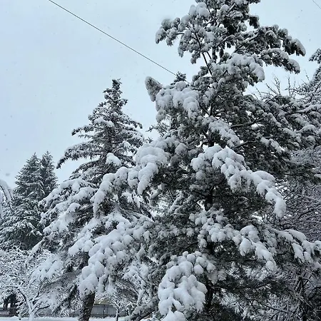 гостинний двір стефані
